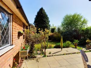 Terrace - click for photo gallery